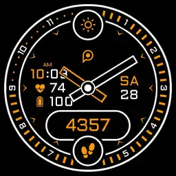 WALKING 2 Watch Face
