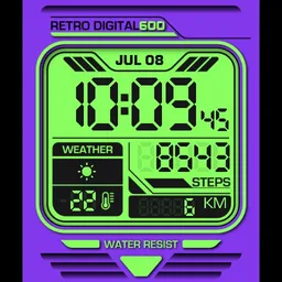 BR1 ║ RETRO DIGITAL 800