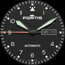 Fortis Flieger Professional Aviatis