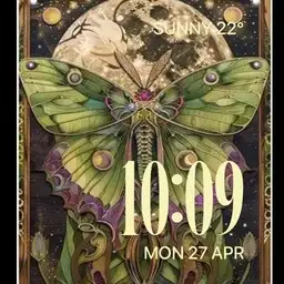 Steamed Luna moth