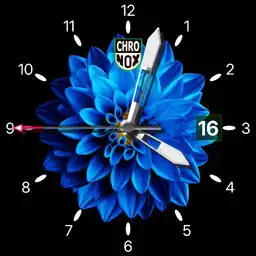 Chronox Blue Flower Watch