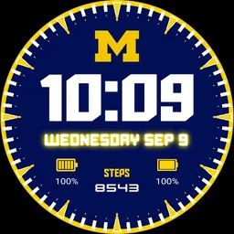 The Michigan Clock