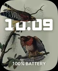 BIRDS