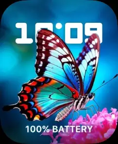 BUTTERFLY