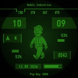 Pip-Boy Sole Survivor Edition Copy