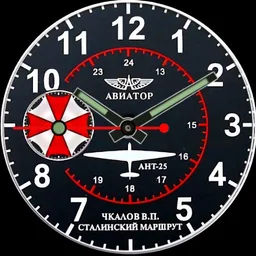 Aviation