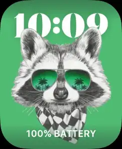 Raccoon