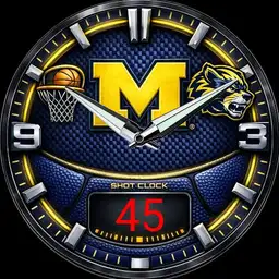 Michigan - Ann Arbor Command