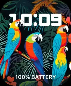 TROPICAL