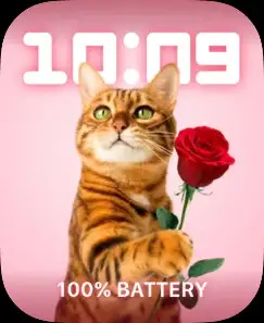 VALENTINES CAT