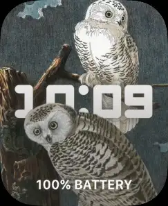OWLS
