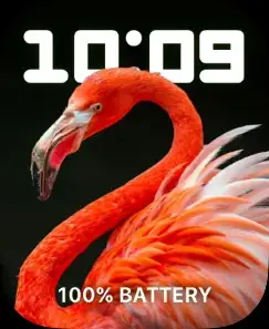 FLAMINGO