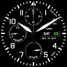 Top Gun Grn2