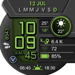 Timex Grey Colors
