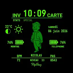 PIP Boy Oscar edition