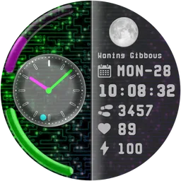WM067_IM_LUNAR_HYBRID