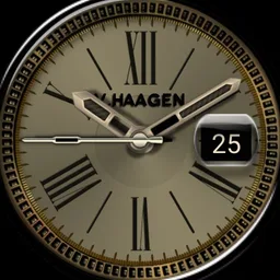 V.HAAGEN BUSINESS GOLD SERIES