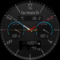 Robinson Ticwatch gen2