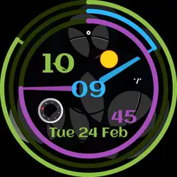 RG Watch 4