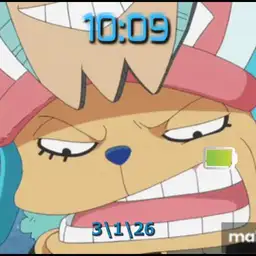 franky chopper