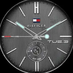 HILFIGER
