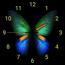 butterfly