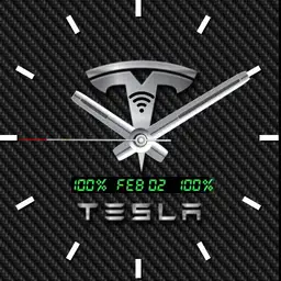 Tesla Standard