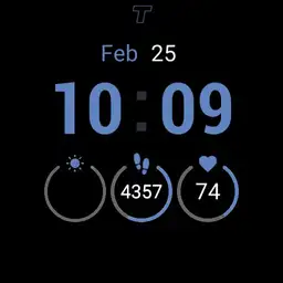 Pixel Fitbit
