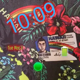Rsvlts McLovin