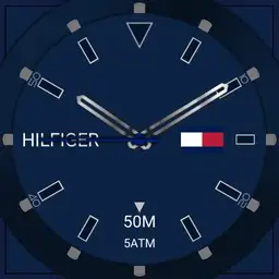 Tommy Hilfiger Copy