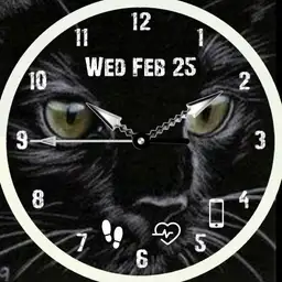 brit black cat face