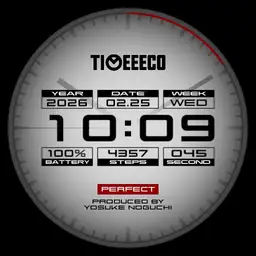 TIMEEECO PERFECT Copy