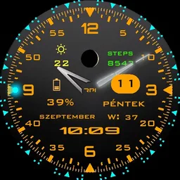 rpi-29