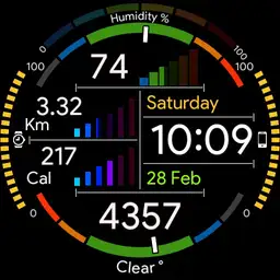 Fitness orologio Grafico Huawei Copy