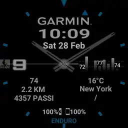 Savy Garmin2 blu simple gray, green, red Copy