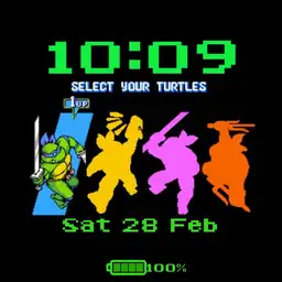 Turtles in time