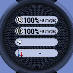 Flash 2 face V3.0