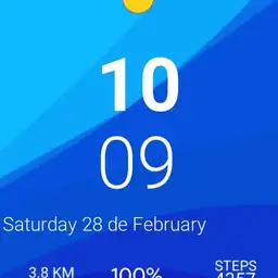 Style Xperia mi negro mi watch