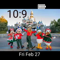 Disneyland Christmas