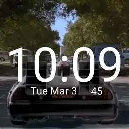 BTTF ll Time Machine Flys