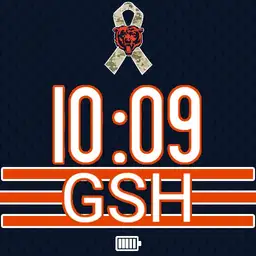 Bears Jersey Home Salute to Service