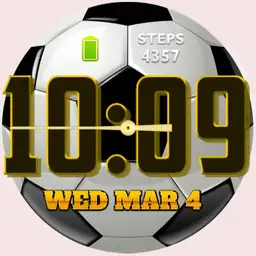 the game