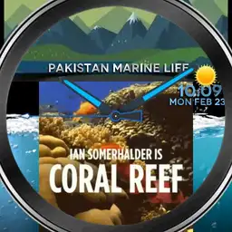 Pakistan Marine Life