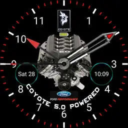 Coyote 5.0 Sport X