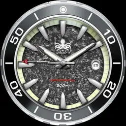PHOIBOS Forged Carbon Proteus