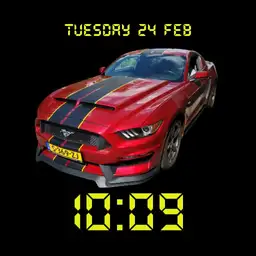 Mustang 2020 Copy