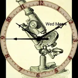 Microscope