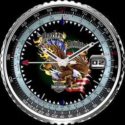 WDS HARLEY DAVIDSON EAGLE
