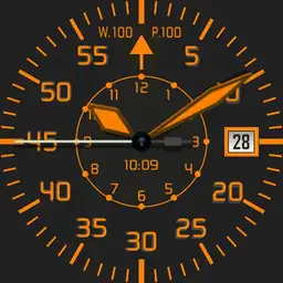 No Lum. Flieger B-Muster Pilot Orange