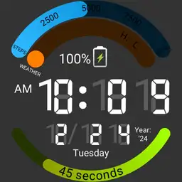8 Segment Display
